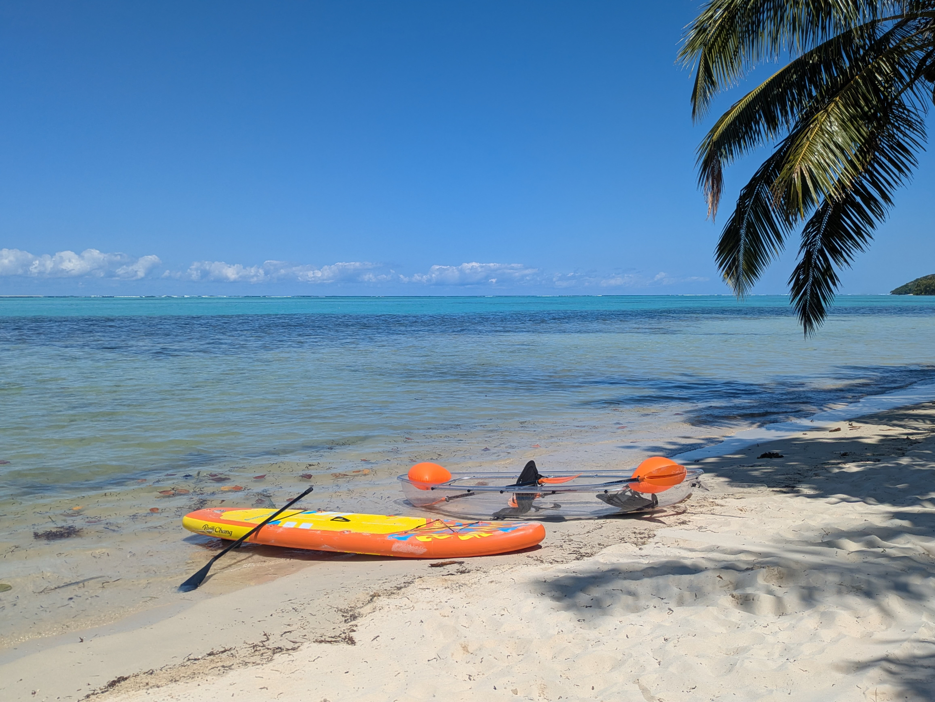 Lagoon Kayaking and Paddle Boarding