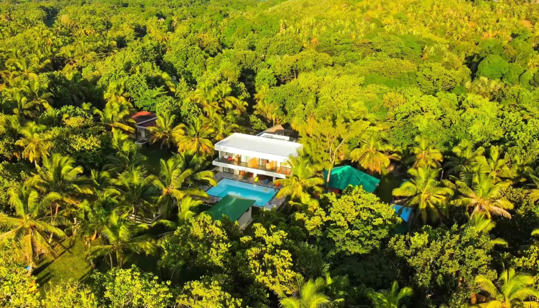An aerial view of the villa and pool hidden in the coconut grove