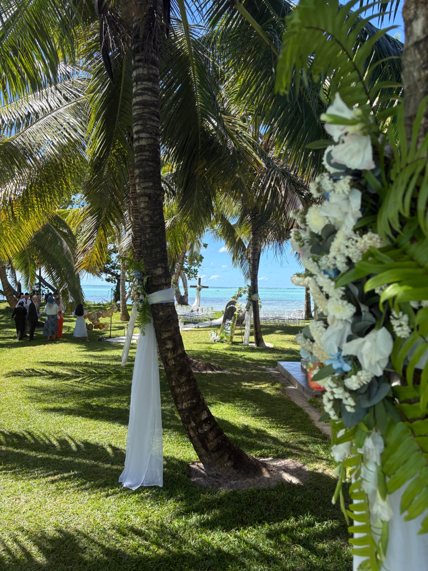 Guests gathering under the coconut palms before a beachside ceremony
